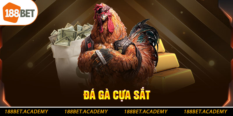 đá gà cựa sắt 188bet