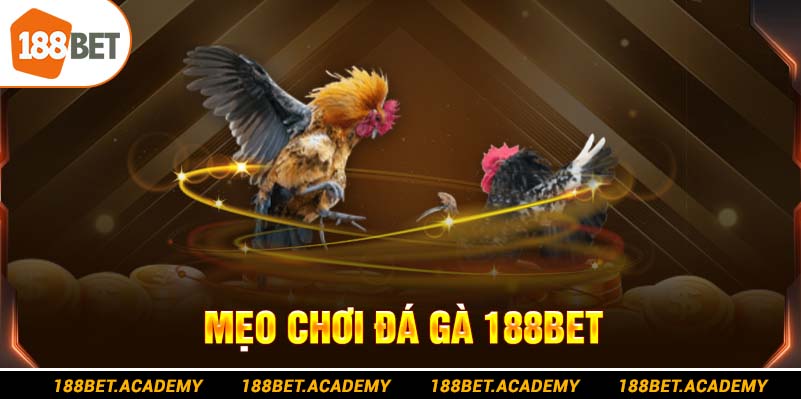 mẹo chơi đá gà 188bet